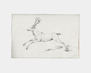 Reindeer Sketch