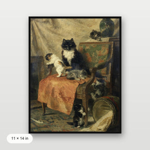 Kittens Playing
