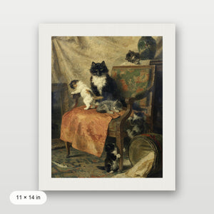 Kittens Playing