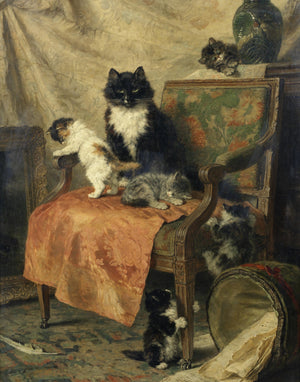 Kittens Playing