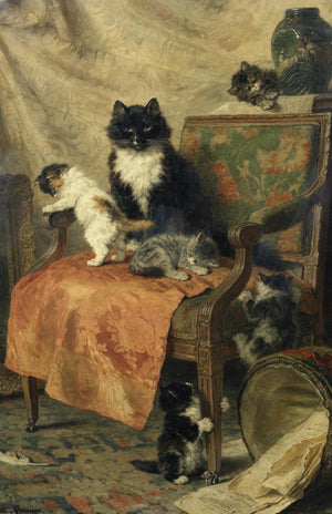 Kittens Playing
