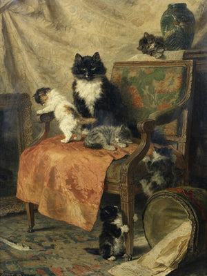 Kittens Playing