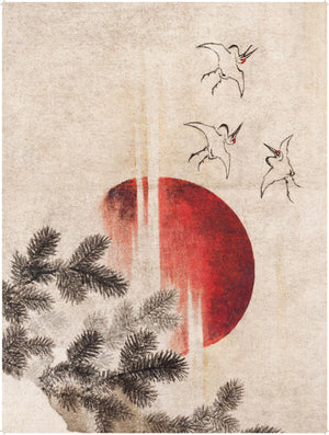 Japanese Sun Meditation
