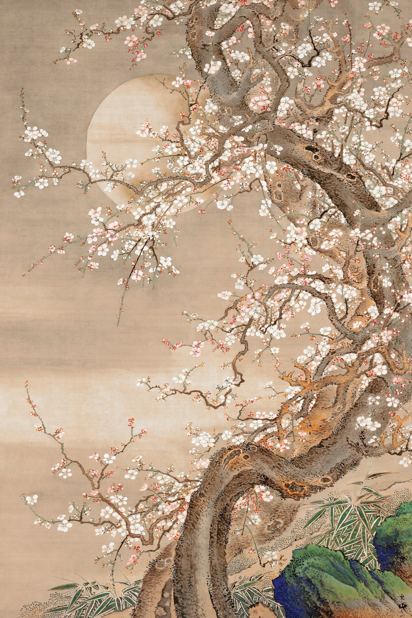 Japanese Blossom Sun Meditation - Fine Art Print | Full Bleed / 30x40 in / No Frame
