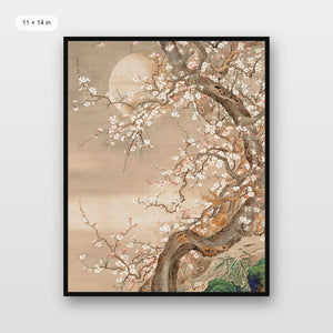Japanese Blossom Sun Meditation