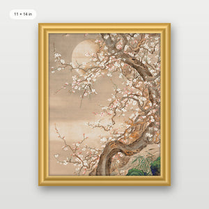 Japanese Blossom Sun Meditation