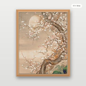 Japanese Blossom Sun Meditation