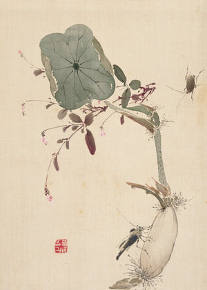 Japanese Flower Meditation