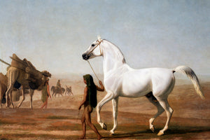 Southwest Horse