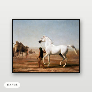 Southwest Horse
