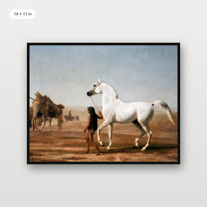 Southwest Horse