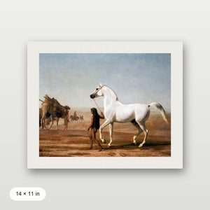 Southwest Horse
