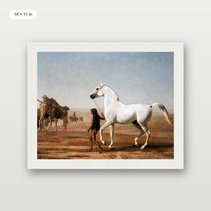 Southwest Horse