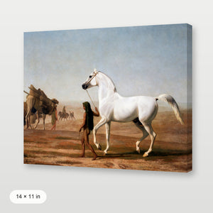 Southwest Horse