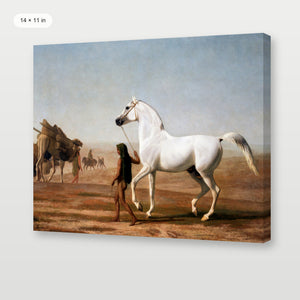 Southwest Horse