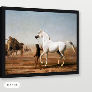 Southwest Horse