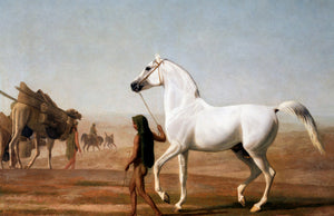 Southwest Horse
