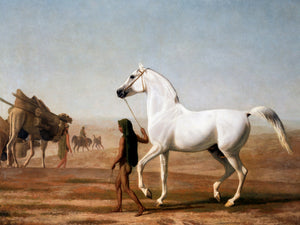 Southwest Horse