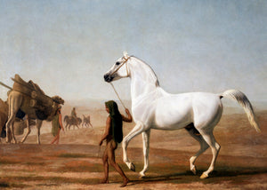 Southwest Horse
