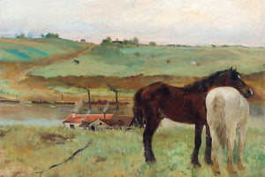 Western Horse