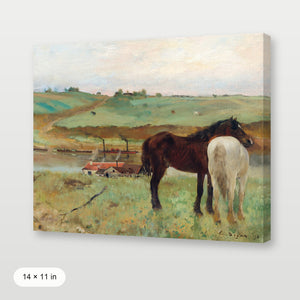 Western Horse
