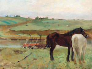 Western Horse