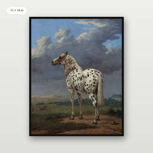 Piebald Horse