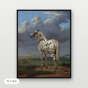 Piebald Horse