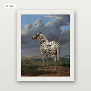 Piebald Horse