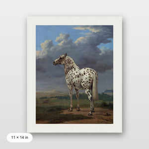 Piebald Horse