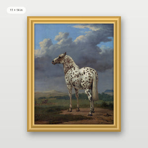 Piebald Horse