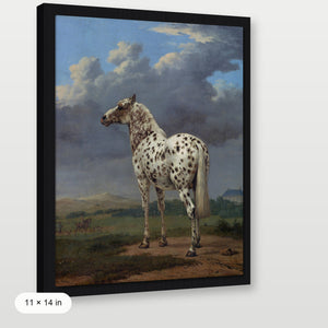 Piebald Horse