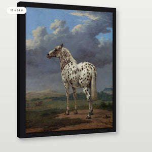 Piebald Horse