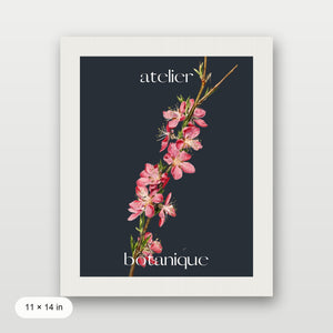 Atelier Botanique P3