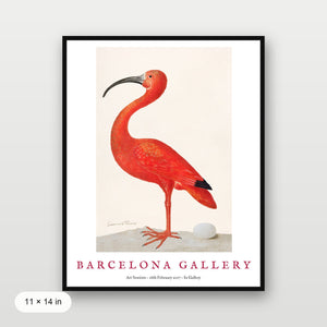 Barcelona Gallery - Ibis