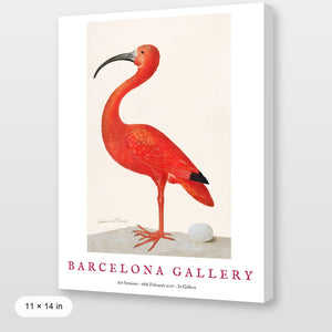Barcelona Gallery - Ibis