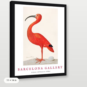 Barcelona Gallery - Ibis