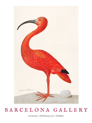 Barcelona Gallery - Ibis