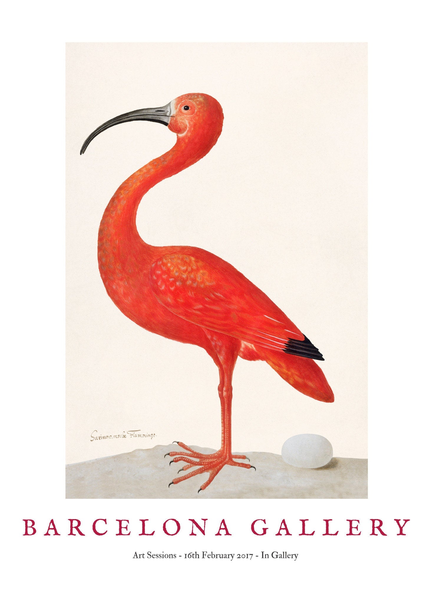 Barcelona Gallery - Ibis