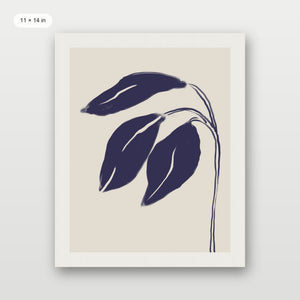 Folding Blue Irises
