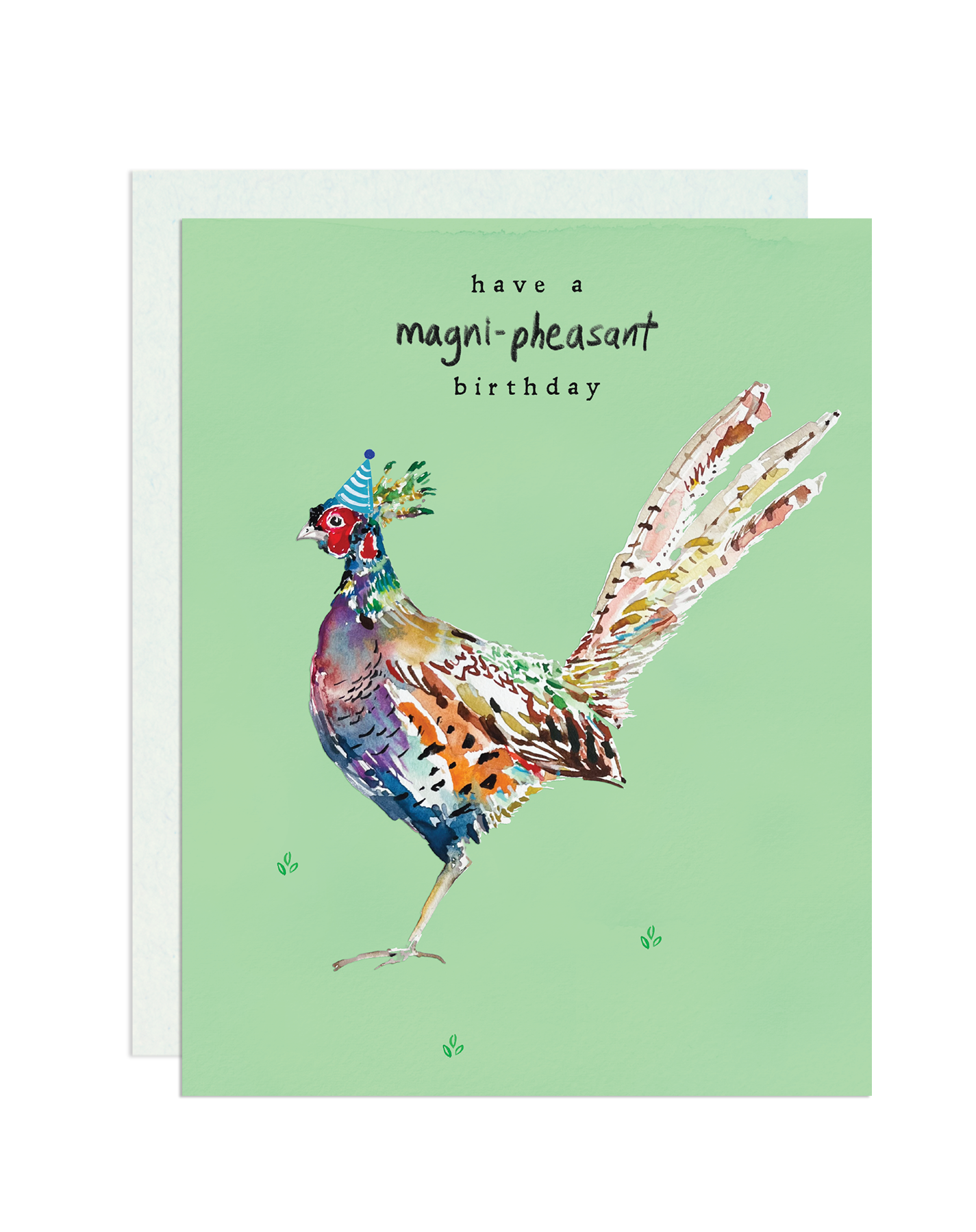 Pheasant, Birthday