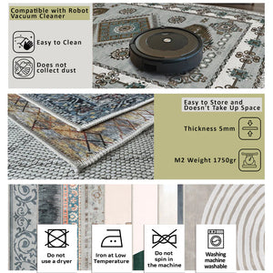 Babia Area Rug