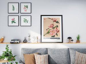 Kazamusa - Camelias