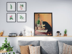 Absinthe Bourgeoise Black Cat