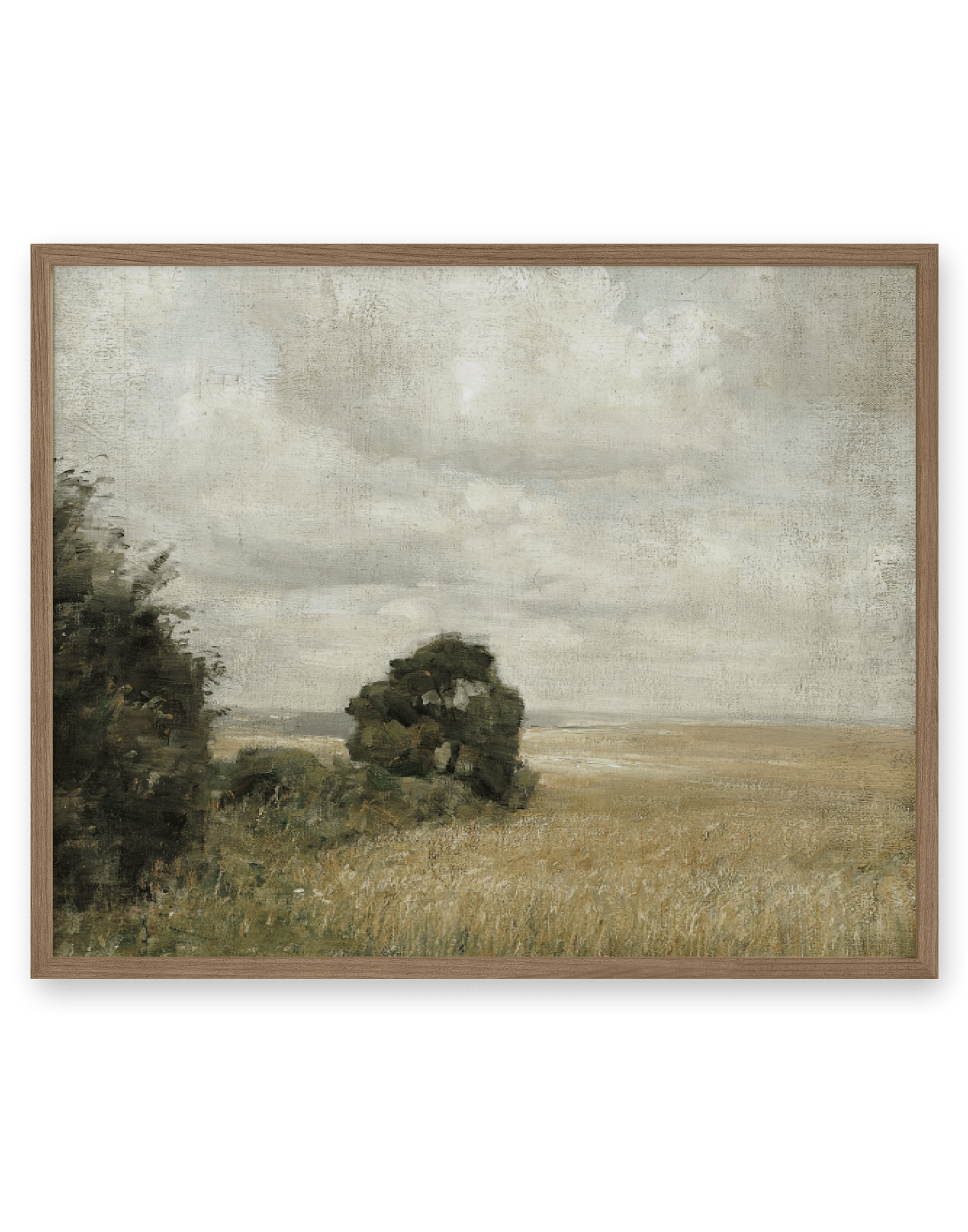 Muted Green Hay Field