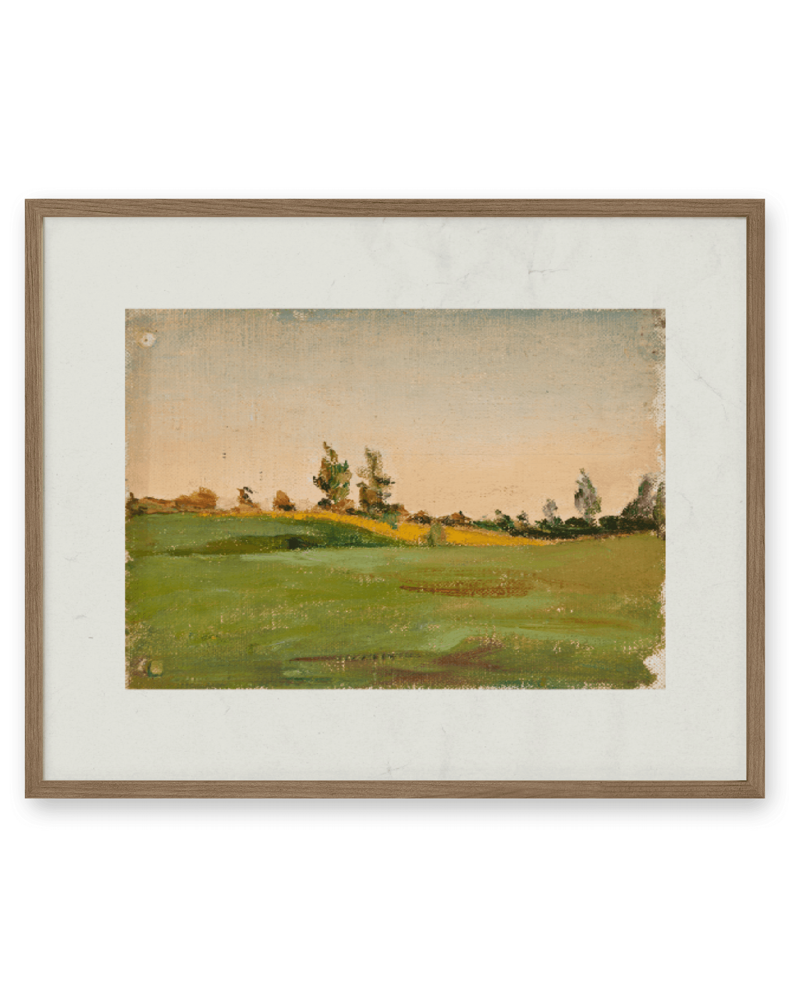 Trees