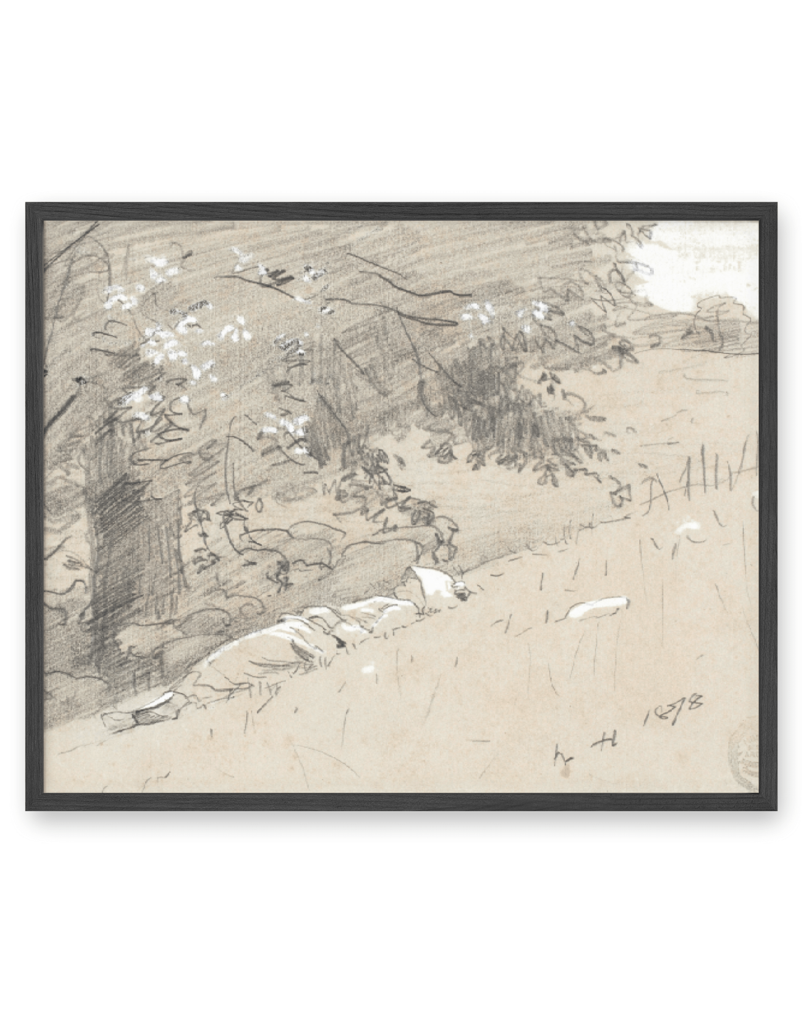 Tree Sketch