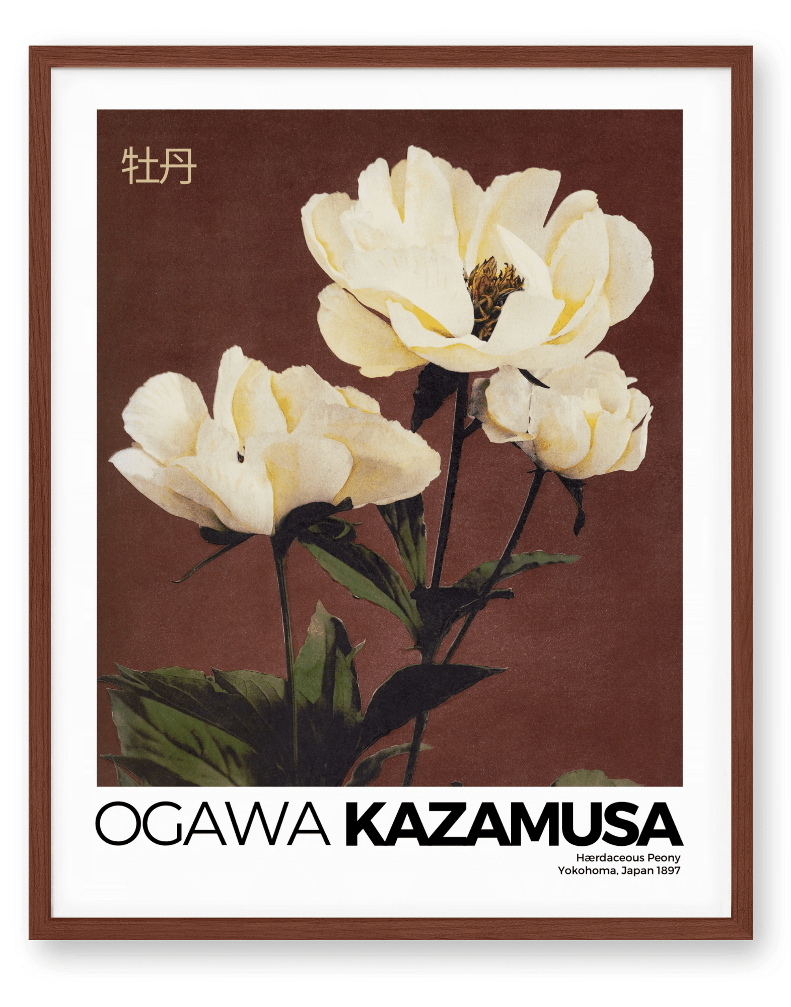 Kazamusa - Peony