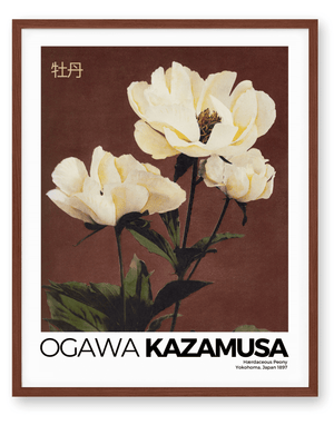 Kazamusa - Peony