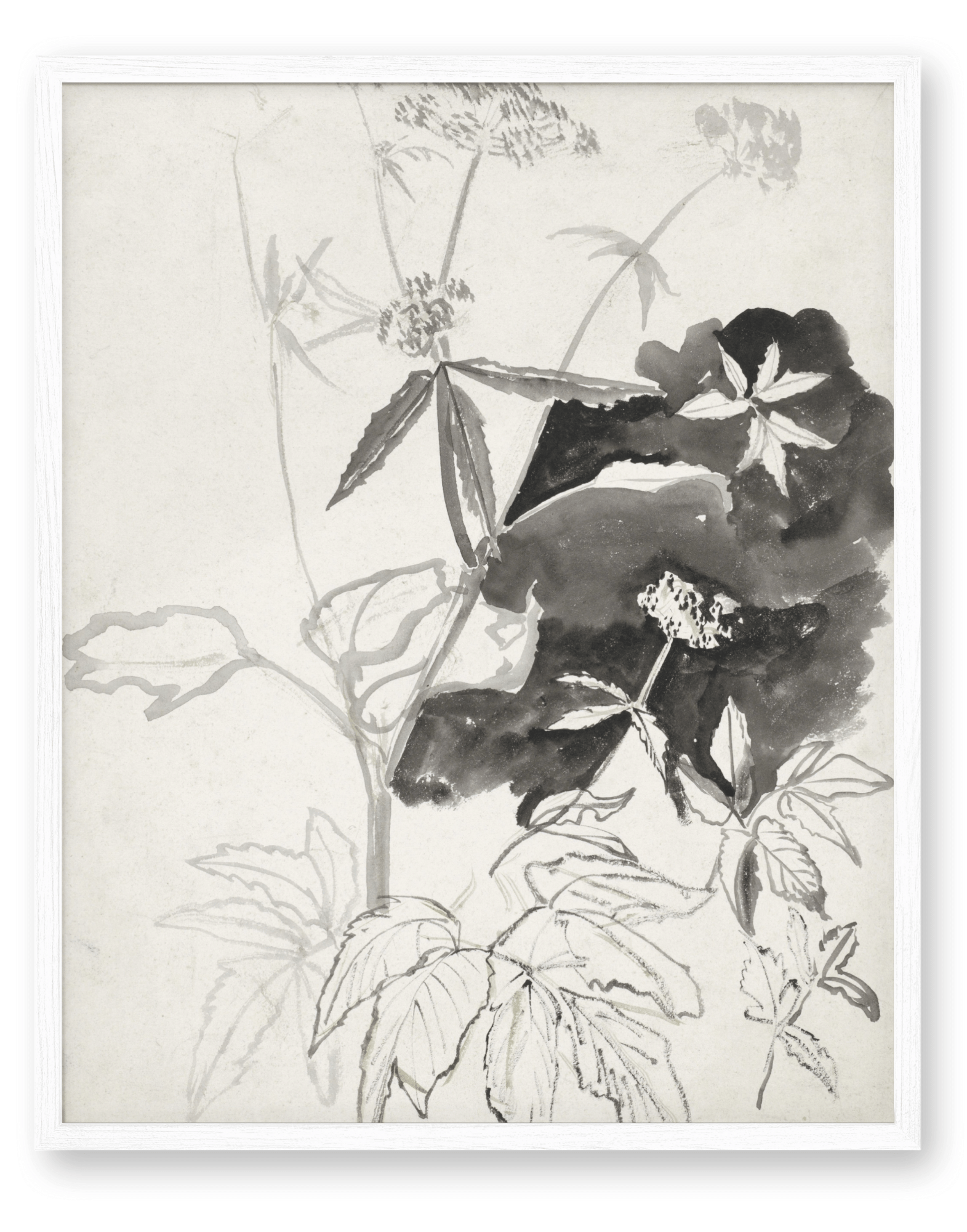 Flower Sketch